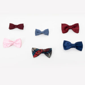 vintage bow tie for man
